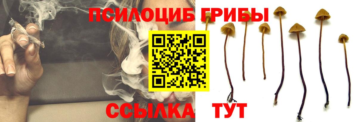 Галлюциногенные грибы Psilocybine cubensis  Вход с VPN  Джанкой  Галлюциногенные грибы GOLDEN TEACHER 